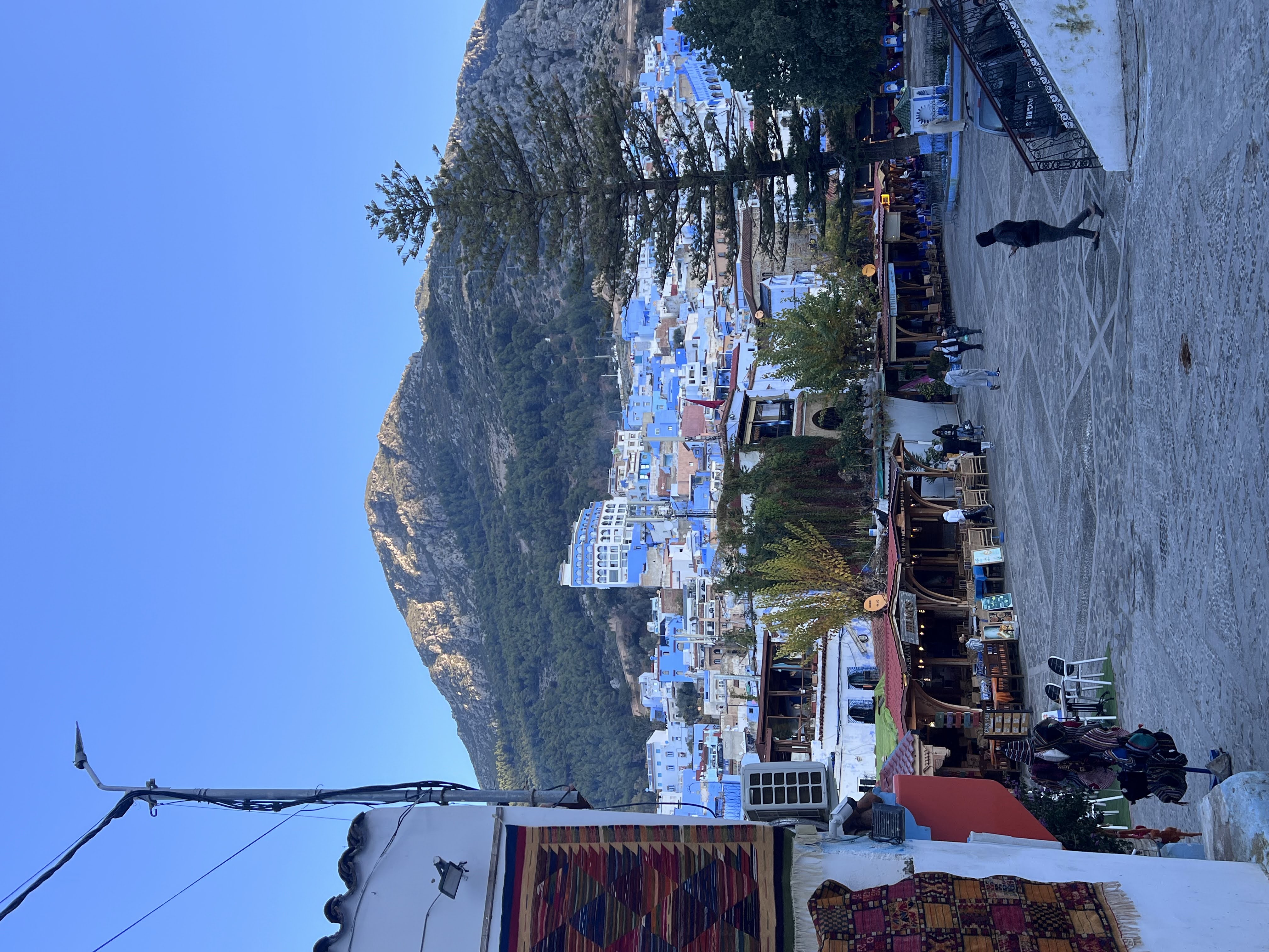 IMG_4365.jpeg