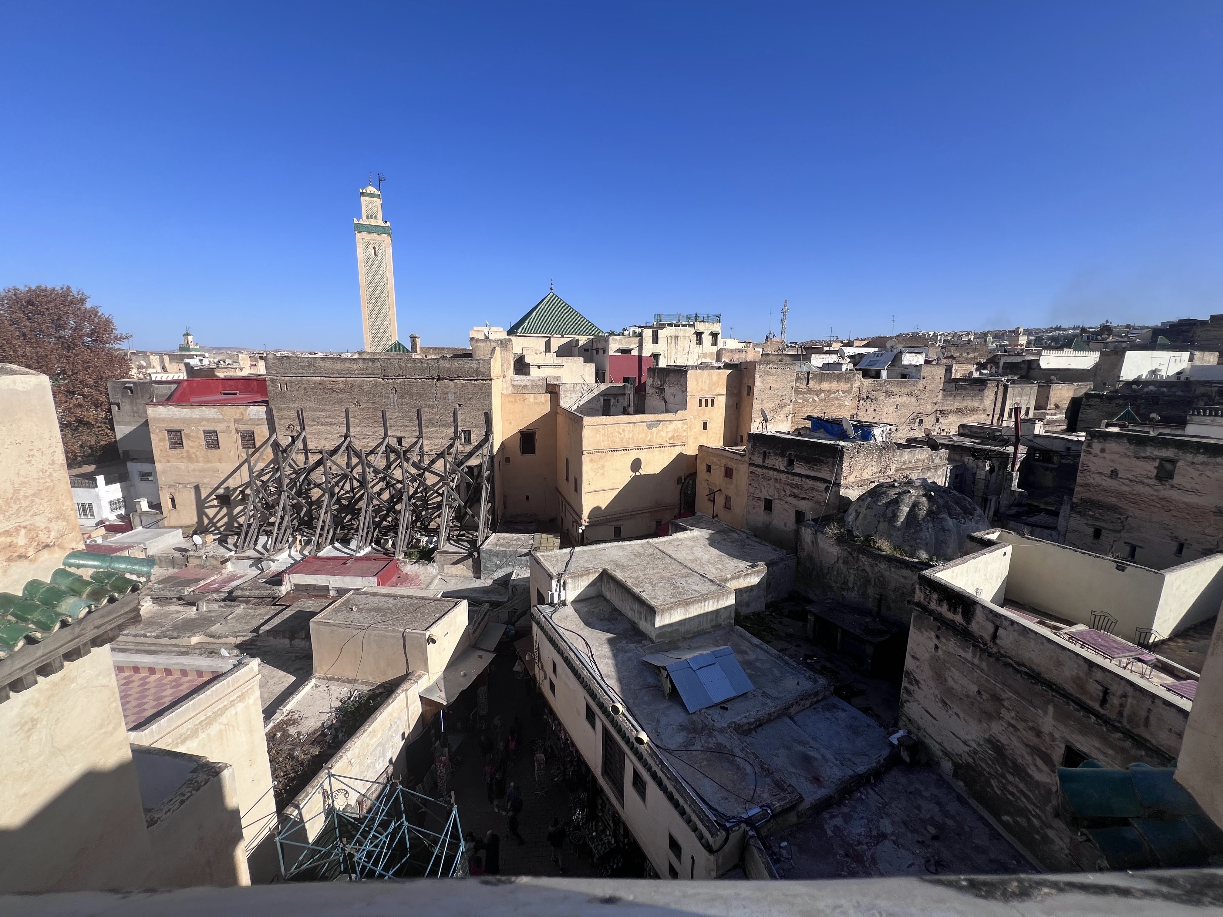IMG_4719.jpeg