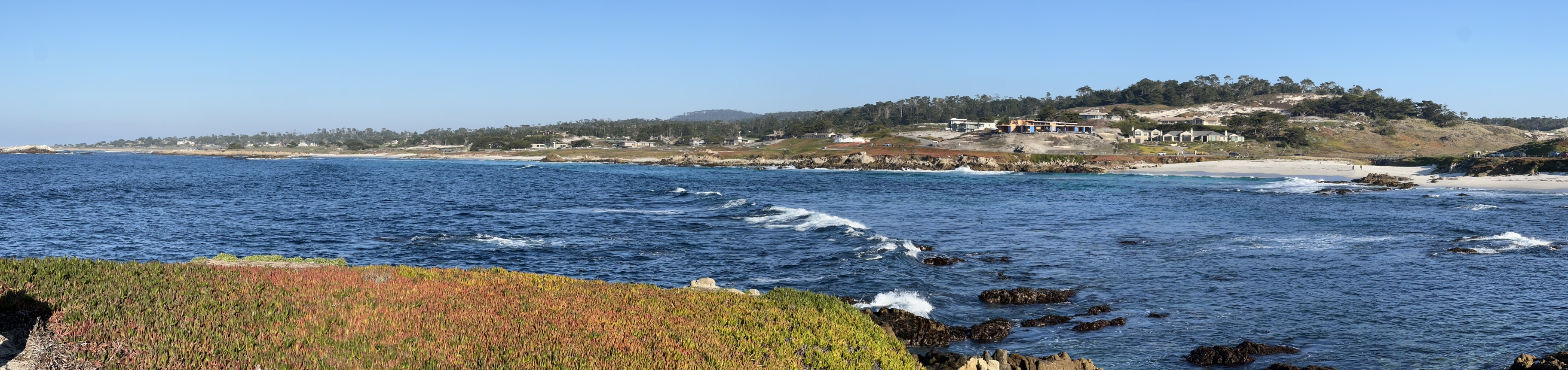 137412CF-C3D4-44BA-90F7-278B4DE66B4F_1_102_o.jpeg