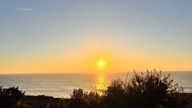 B109923E-1237-48CA-902C-80F3A602DDEB_1_201_a_Medium.jpeg